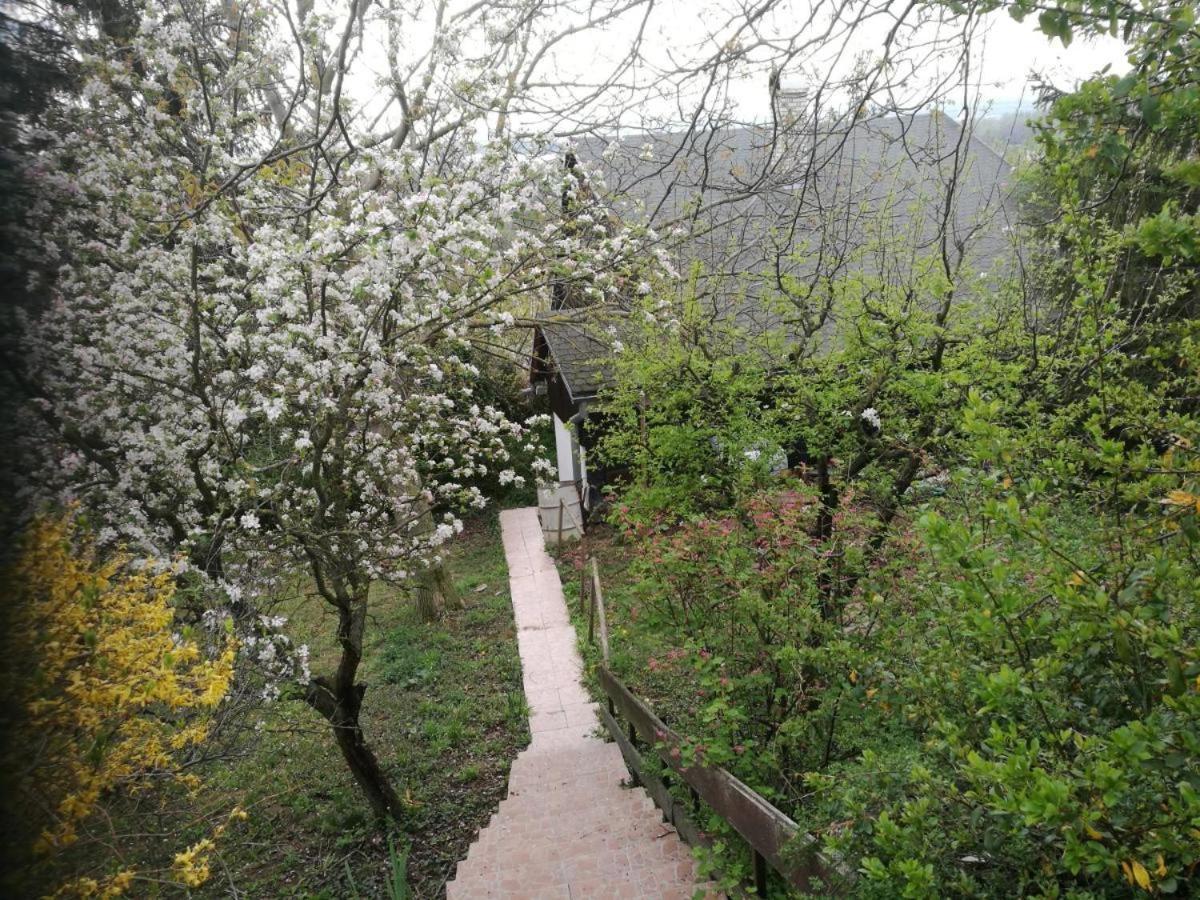 דירות Banka Sunset House Piestany Cervena Veza מראה חיצוני תמונה